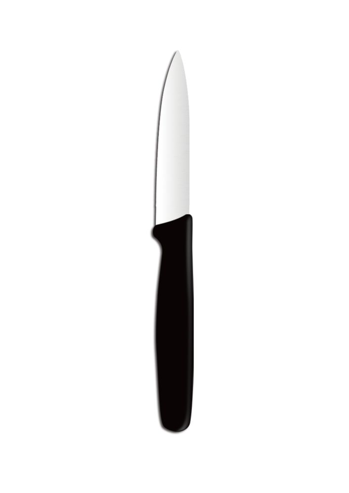 Gemüsemesser spitz Schwarz (L)192mm-ING13007